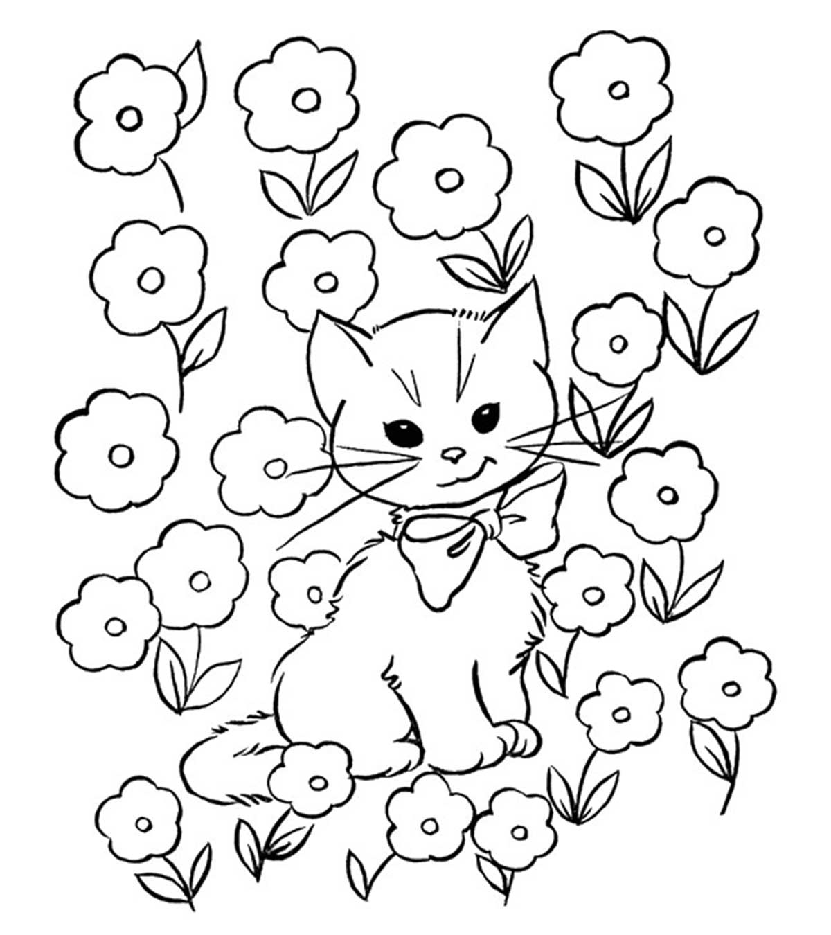 Cat On Flower Field