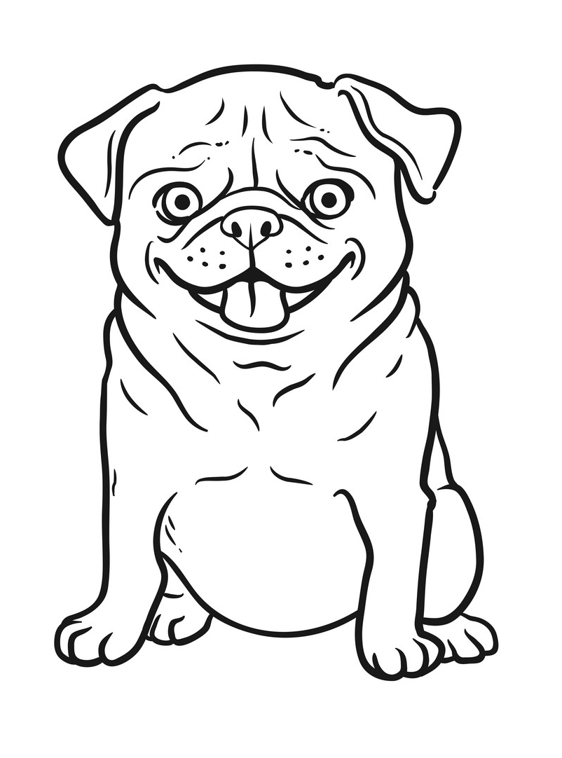 Printable A Funny Pug coloring page for both aldults and kids.