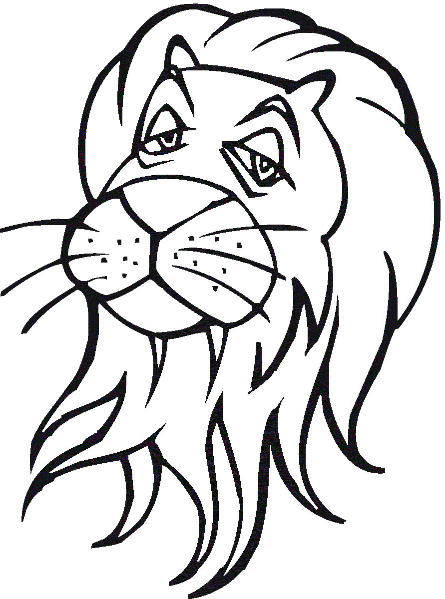 Lion With Long Hair