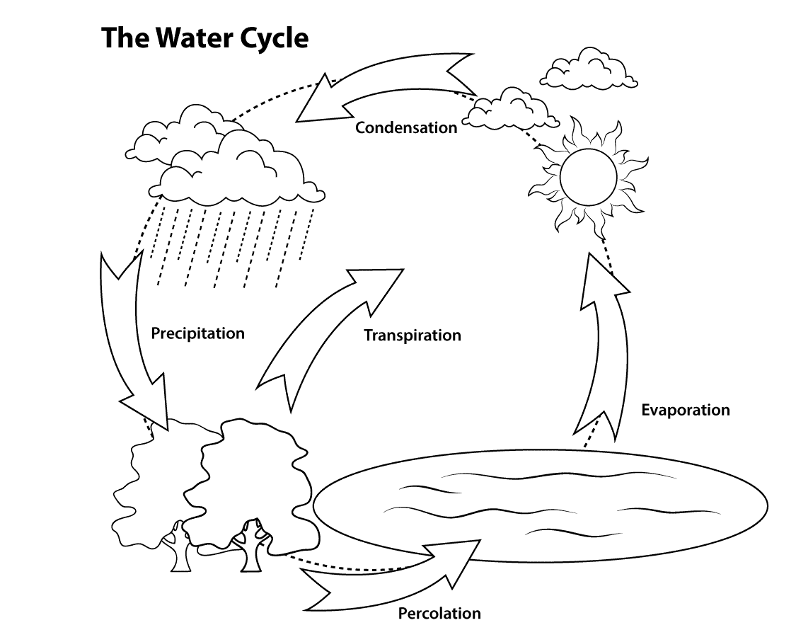 Simple Water Cycle
