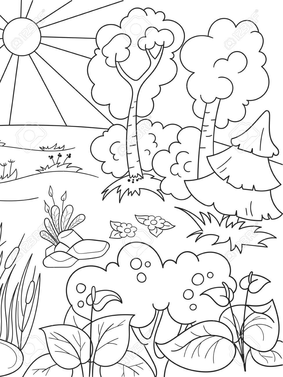 Forest Coloring Pages - Nature Coloring Pages