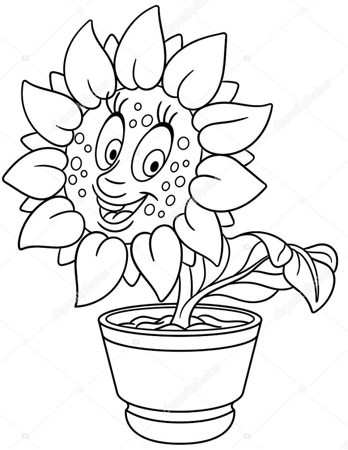 Smiling Sunflower in a Pot