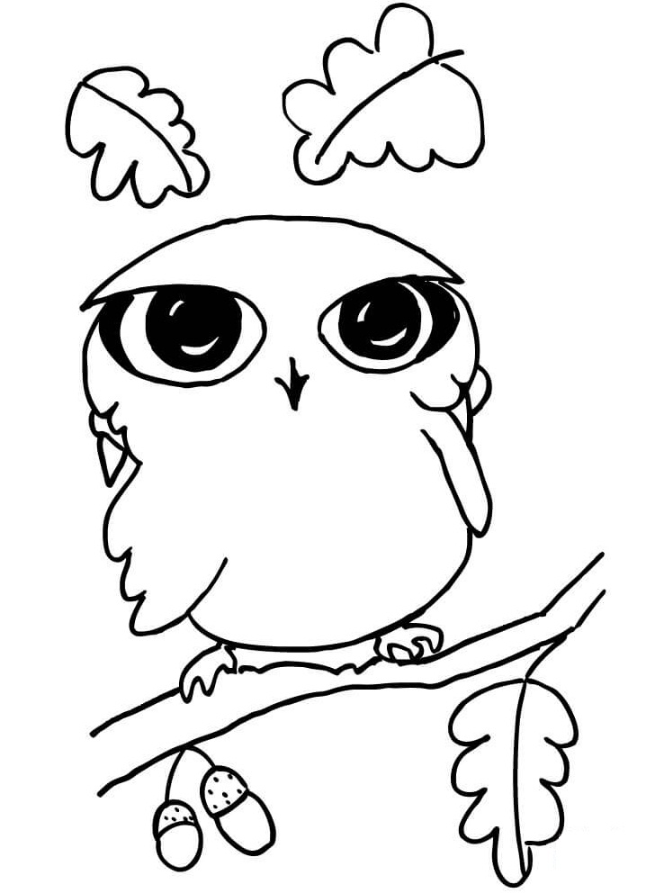Funny Little Owl