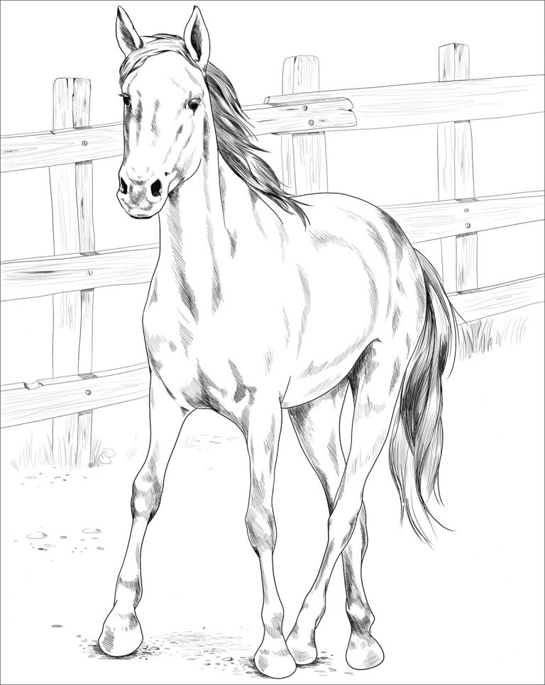 Printable Kiger Mustang coloring page for both aldults and kids.