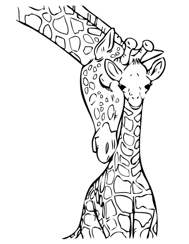 Giraffe Mom and Baby